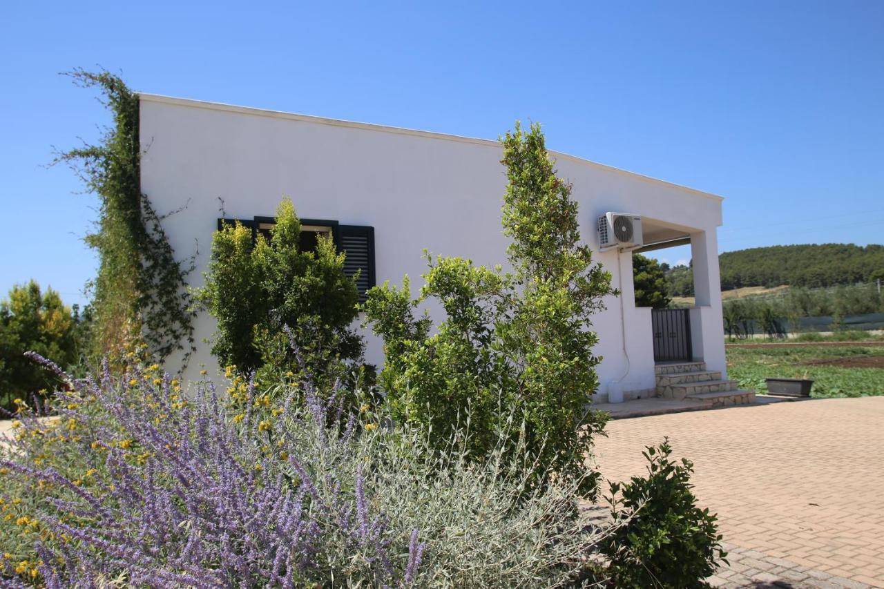 Annaluce Apartments Vieste Exterior photo